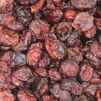 Müsli.de - Zutat: Cranberries